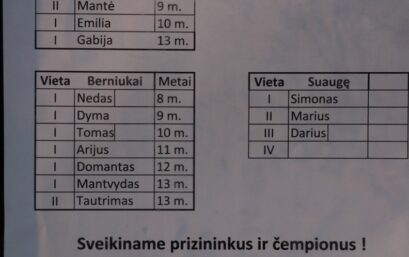 jaunimo-vasaros -stovykla-laisves-kodas (33)