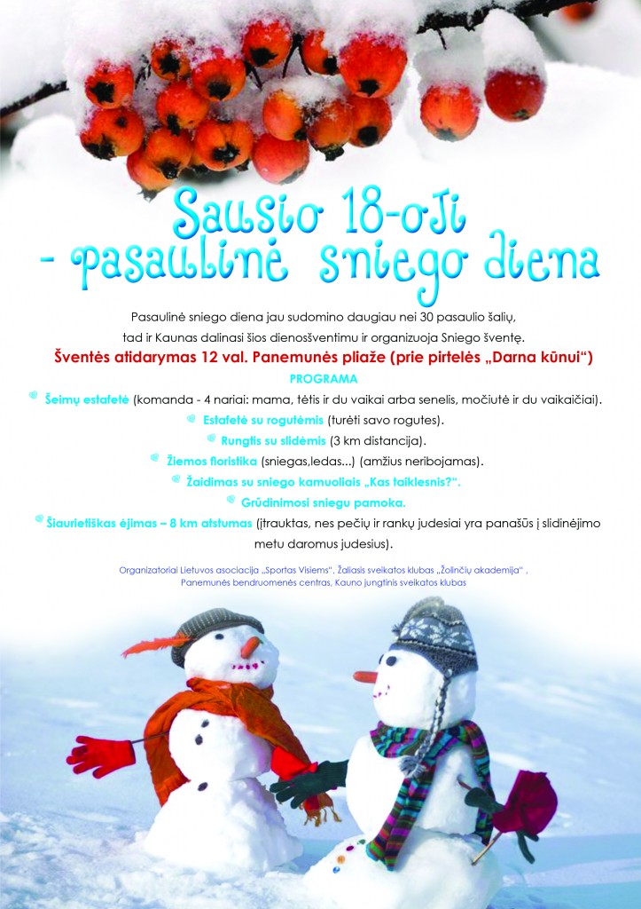 Pasaulinė sniego diena