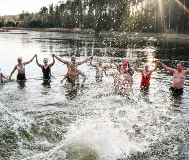 Ledines-maudynes-Alytuje_10