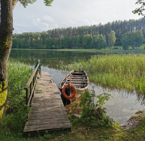 Laukinė stovykla “LAUKINIS JAUNIMAS” 2025 m. rugpjūčio 4-10 d.