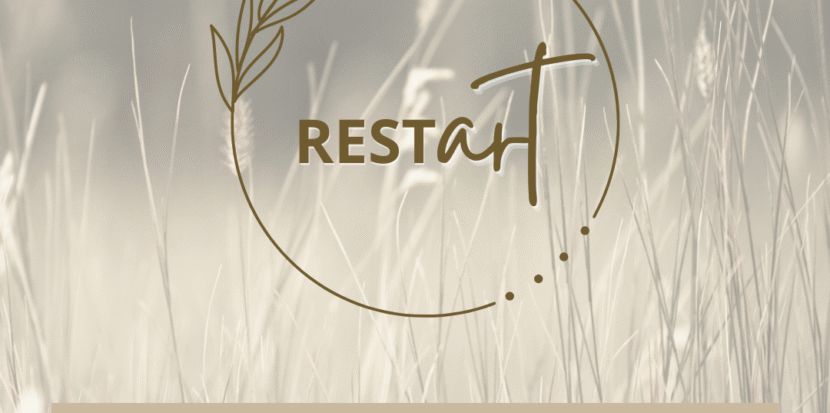 Savaitgalio stovykla Rest Art tikro poilsio menas